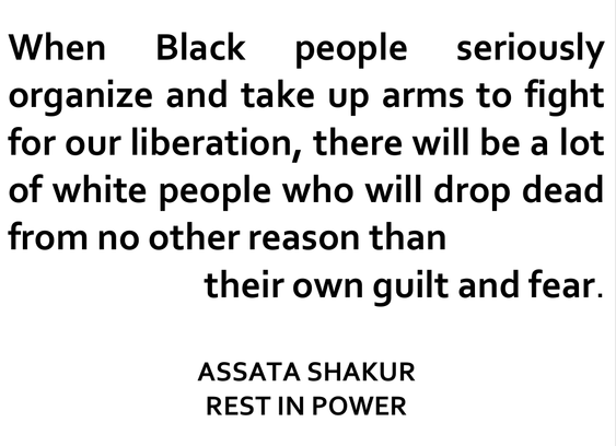 When Black people seriously organize and take up arms to fight for our liberation, there will be a lot of white people who will drop dead from no other reason than their own guilt and fear.

ASSATA SHAKUR
REST IN POWER