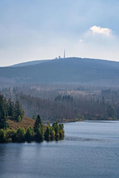 Das Foto ist eine weite Landschaftsaufnahme, die eine ruhige, sonnige Szenerie mit einem See, Wäldern und einem prominenten Berg im Hintergrund zeigt.
Im Vordergrund dominiert die dunkle, leicht gekräuselte Oberfläche eines Sees oder Stausees. Das Wasser nimmt fast die gesamte untere Hälfte des Bildes ein. Am Ufer, das von links nach rechts verläuft, bildet sich eine kleine Landzunge oder Biegung, die dicht mit Bäumen bewachsen ist, darunter dunkle, vitale Nadelbäume (Fichten) und hellgrünes Laubwerk. Der Boden in diesem Uferbereich ist an einigen Stellen mit braunen oder rötlichen Gräsern/Büschen bedeckt.
Der Mittelgrund wird von einer breiten Waldfläche eingenommen, die größtenteils aus abgestorbenen, grauen Bäumen (vermutlich Fichten) besteht, was auf die Folgen von Trockenheit oder Borkenkäferbefall hindeutet. Diese kahlen Stämme erzeugen eine geisterhafte, silbrige Textur, die sich vom dunkleren, lebenden Wald am Ufer abhebt. Über diesem sterbenden Wald liegt ein leichter, bläulicher Dunst.
Der Hintergrund wird von einem sanft ansteigenden, breiten Berg eingenommen. Der Berg ist durch den atmosphärischen Dunst stark in Blau- und Grautöne getaucht (Luftperspektive). Auf seiner Spitze sind deutlich eine Sendeanlage oder mehrere Türme und Gebäude zu erkennen. Die Kontur des Gipfels ist markant.
Der Himmel ist hell, klar und blassblau, mit einer kleinen, weißen Kumuluswolke oben rechts. Die Gesamtbeleuchtung deutet auf einen klaren Tag mit starkem Sonnenlicht hin.
Die Szene 