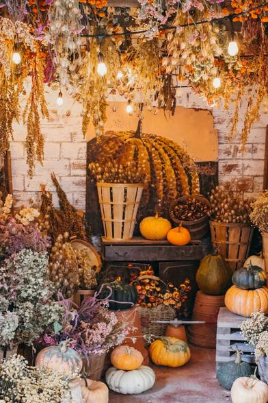 A cozy autumn display featuring pumpkins of various colors and sizes arranged among baskets of dried flowers and seed pods. Warm hanging string lights illuminate the scene, while bundles of dried flowers and herbs hang from the ceiling. In the background hangs a mural of a large pumpkin.