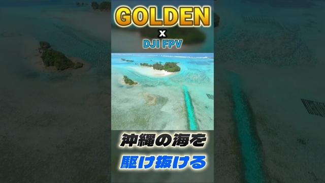 【沖縄発】沖縄の美しい海の上を優雅に飛ぶ‼️最高だね😆