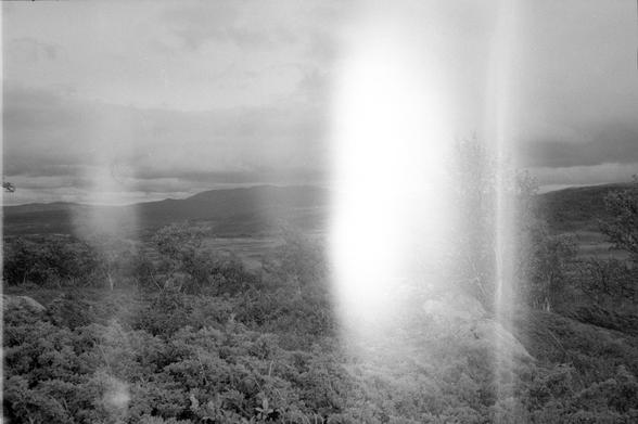 black and white photo. Landscape of trees. Some not very tall mountains in the background. Light leak makes parts of the photo burned out white.
