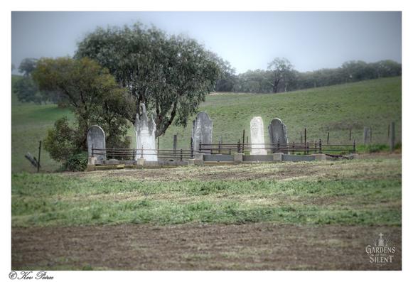 Color photograph by Kev Peirce.  A small, historic plot of four weathered white marble headstones standing behind a low, dark wrought-iron fence in the Tungkillo Cemetery.  The graves are centered on a slightly raised mound in a field of green grass and brown dirt.  Behind the plot, a large, dark-leaved tree provides shade, with vibrant, rolling green hills and a treeline stretching into the blurred background under a hazy sky.
