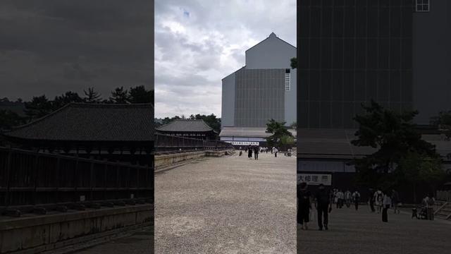 [工事中] 興福寺五重塔 #興福寺 #奈良県奈良市 #shorts