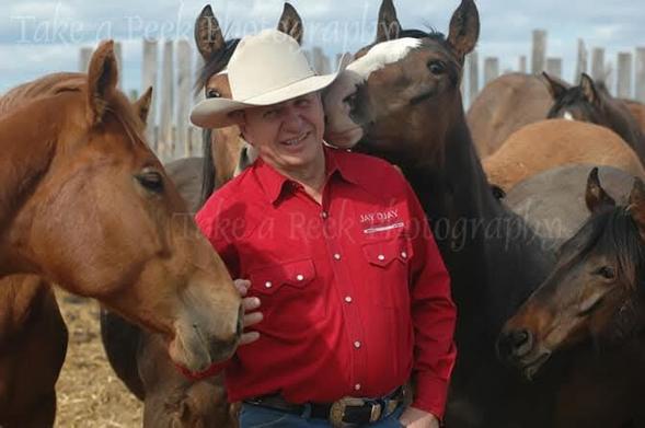 Horseman surrounded by yearlings. Beautiful! The Horse Whisperer"