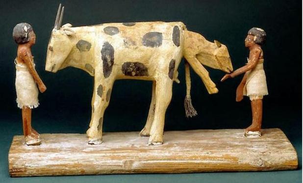 The photo shows a wooden model of a cow giving birth accompanied by two men. One man calms the cow while the other ensures a proper delivery.The calf emerges from his mother, licking the hand of the man.