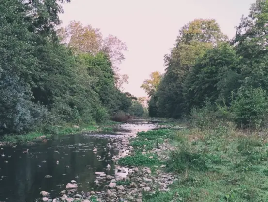 Photo d'un petit fleuve côtier bordé de végétation dense, avec sa plage de galets au premier plan. On peut distinguer au loin, sur ses rives, les premières maisons d'un village. Le ciel est dégagé dans une lumière matinale.