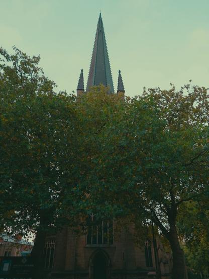 Atmospheric filtered shot of large trees flanking a cathedral entrance, the spire is visible above the canopy