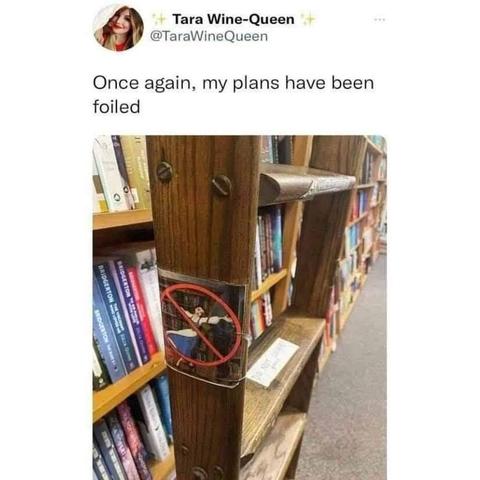 Post by Tara Wine-Queen
"Once again, my plans have been foiled"

Picture of a library ladder with picture on it from Beauty and the Beast where Belle is singing and dancing on a library ladder. With a large Forbbiden mark over it.