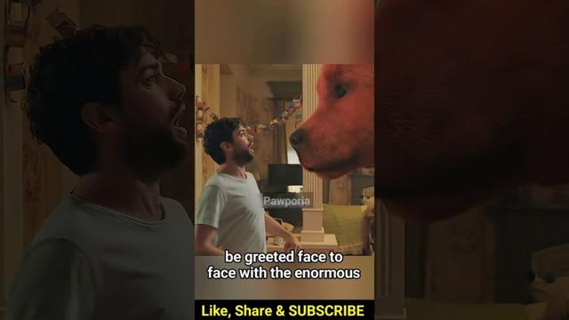 The Little Girl Brings a Red Puppy But Overnight She Realised ..