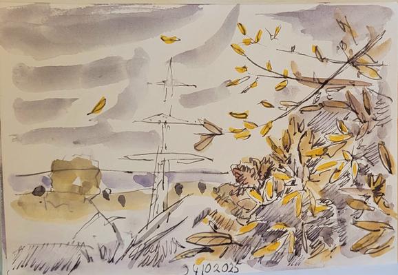 Lose Aquarellskizze über Federzeichnung: Blick über eine flache Landschaft, in der Mitte ein Hochspannungsmast,  rechts im Vordergrund Weidenzweige mit gelben Blättern,  von denen einige vor dem grau wolkigen Himmel fliegen.
