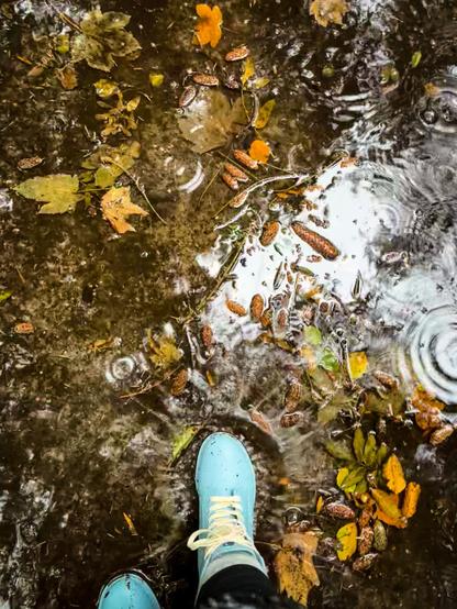 Blick von oben auf die eigenen hellblauen Gummistiefel mit weißen Schnürsenkeln, während sie in eine Pfütze auf einem Waldweg platschen, die von bunten Herbstblättern umgeben ist und in der sich etwas Himmel spiegelt.
