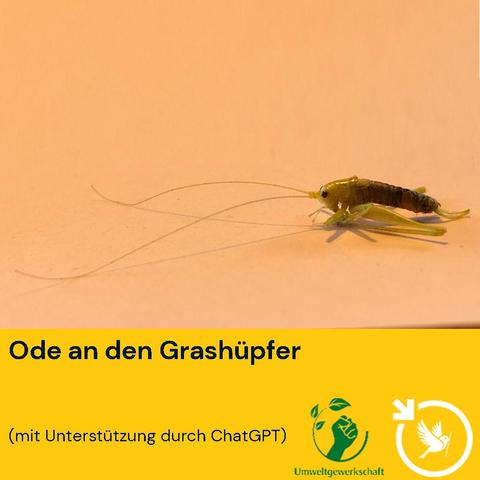 Ein Grashüpfer mit eingezogenen Beinen und überlangen Fühlern auf einem Rosa Blatt Papier von der Seite aufgenommen.
Darunter der Text: Ode an den Grashüpfer. Das Gedicht wurde mit Hilfe von KI erstellt.
Rechts unten das Logo der Umweltgewerkschaft und unseres.