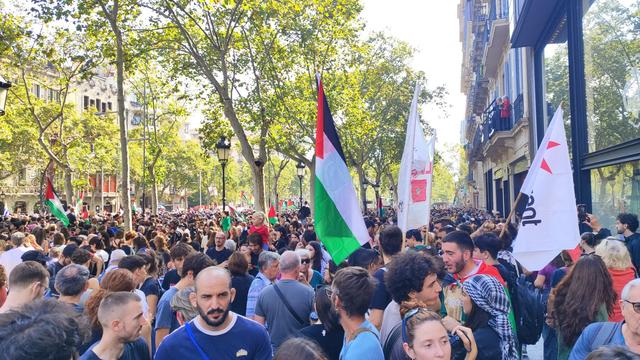 Una foto amb molta gent, banderes palestines i pancartes