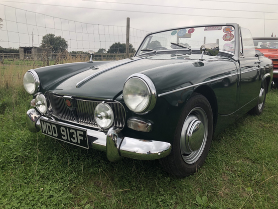 Green pill 💊 or red pill, #MGMidget or #MGB - http://miniphernalia.co.uk