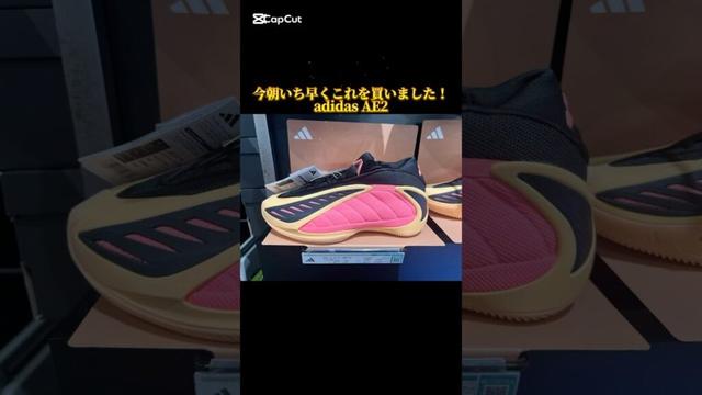 アンソニー・エドワーズ/ Anthony Edwards|adidas AE2をゲットしました! #バッシュ #adidas #shorts
