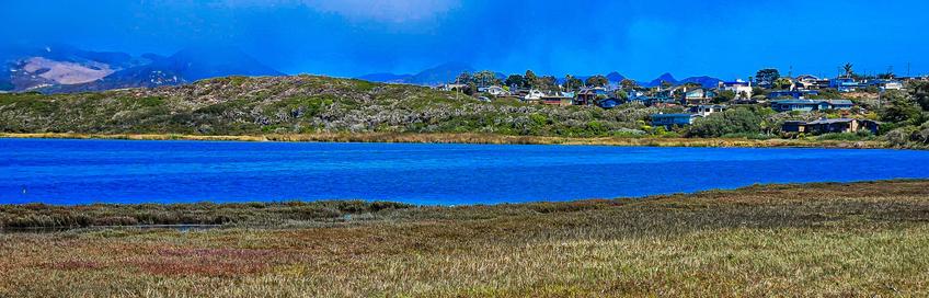 A wide, horizontal landscape shot depicts a body of water, likely a bay or large pond, in the foreground with a line of buildings and vegetation on the opposite shore. The water is a vibrant, saturated blue color and reflects the sky. The immediate foreground is filled with golden-brown grasses and marsh vegetation. Beyond the water, a raised area of land is covered in green plants and features a collection of houses, appearing as a small coastal town or village. The sky is bright blue with some visible clouds.