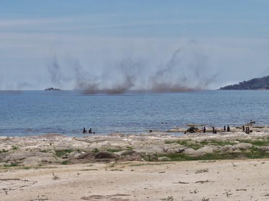 image/jpeg what looks like dark clouds of smoke emerge from a tropical lake as seen from a rocky coast. From Scott Cable. http://wearthefoxhat.us/malawi-lake-flies/