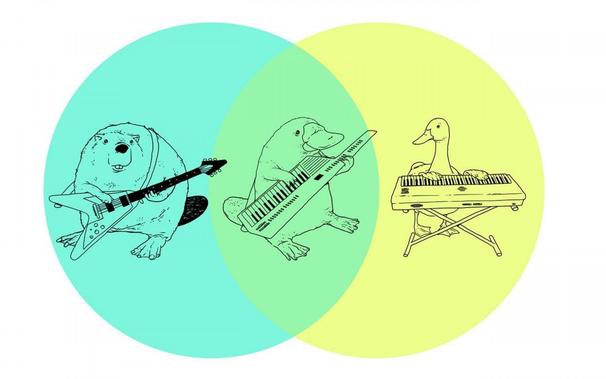 A joke Venn diagram with two overlapping circles.  In the left, teal circle is a beaver playing a "Flying V" electric guitar.  In the right, yellowish circle is a duck playing a synthesizer keyboard.  In the green intersection area is a platypus playing a 1980s-style "keytar".