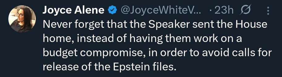 Joyce Alene @ @JoyceWhite

Never forget that the Speaker sent the House
home, instead of having them work on a
budget compromise, in order to avoid calls for
release of the Epstein files.
