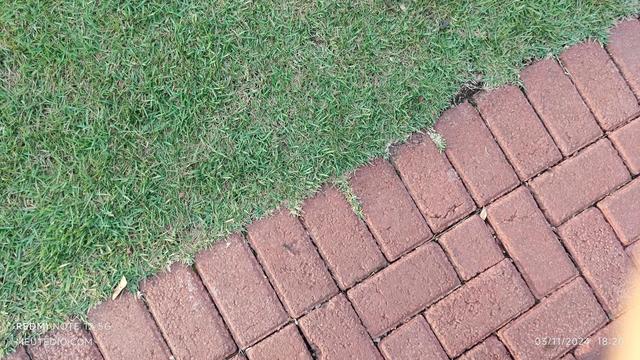A foto mostra uma junção entre grama verde e tijolos vermelhos. A grama ocupa a parte superior esquerda da imagem e os tijolos vermelhos ocupam o resto. Os tijolos vermelhos são organizados em um padrão de espinha de peixe. A imagem é tirada de cima e é ligeiramente inclinada.