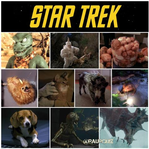 Dia Mundial de los Animales World Animal Day star trek