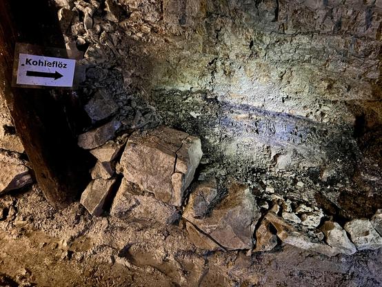 Das ca. 25 cm dicke Kohleflöz zwischen den Steinschichten