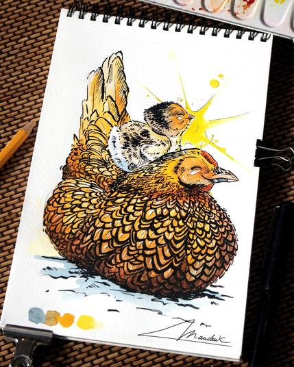 illustration mignonne d'une poule wyandotte rousse et son petit poussin réaliste à l'aquarelle et à l encre noire.