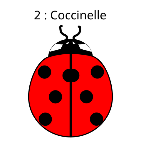 a simple vector drawing of a red ladybug