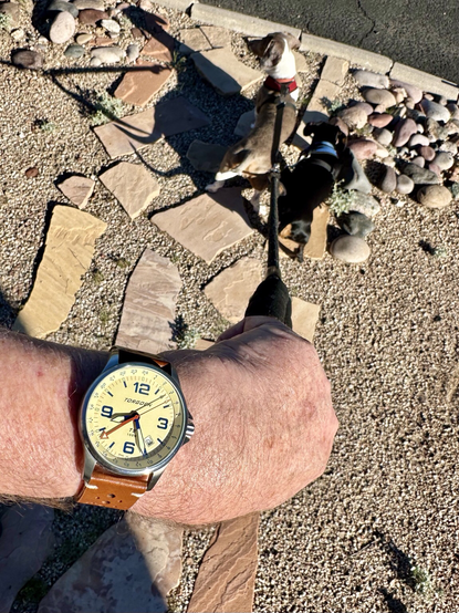 Wristwatch selfie w/dachshunds