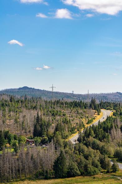 Die Aufnahme zeigt eine weite Berglandschaft unter einem klaren, blauen Himmel mit wenigen weißen Wolken.
Bildelemente
Vordergrund: Unten im Bild dominiert eine leicht abfallende, bewaldete Fläche. Es gibt eine Mischung aus gesund wirkenden, grünen Bäumen (vermutlich Nadel- und Laubbäume) und zahlreichen grauen, kahlen Baumstämmen (Totholz), die auf das großflächige Waldsterben hindeuten. Links unten ist ein kleines, rotes Holzhaus mit braunem Dach zu sehen, das eingebettet in die Bäume liegt.
Mittelgrund: Eine gewundene, asphaltierte Straße zieht sich von rechts oben in die Mitte und verschwindet im unteren Bereich links hinter Bäumen. Auf der Straße sind in der Ferne ein oder zwei Fahrzeuge erkennbar, die auf die Nutzung als Verkehrsverbindung hinweisen. Die Landschaft entlang der Straße zeigt ebenfalls den deutlichen Wechsel zwischen dichtem Grün und toten Baumstämmen. Auffällig sind zwei hohe Strommasten oder Hochspannungsmasten, die sich prominent aus dem Wald erheben und eine Schneise markieren.
Hintergrund: Die Landschaft erstreckt sich bis zu einem Horizont aus Hügeln und Bergen. Auch die ferneren Waldgebiete zeigen ausgedehnte Bereiche mit abgestorbenen Bäumen. Ein markanter, einzelner, runder Hügel oder Bergkegel ist links im Hintergrund sichtbar.
Gesamteindruck
Das Bild vermittelt einen Eindruck von Weite und Natur, wird aber gleichzeitig von den Spuren des Waldsterbens dominiert, wie es typisch für Mittelgebirge wie den Harz ist. Die kahlen Stämme stehen in starke