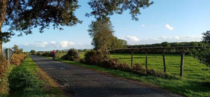 Une route entre des prés. Un cycliste va de l'avant