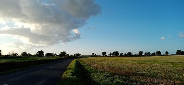 Une route entre des prés. Un beau nuage sur la gauche