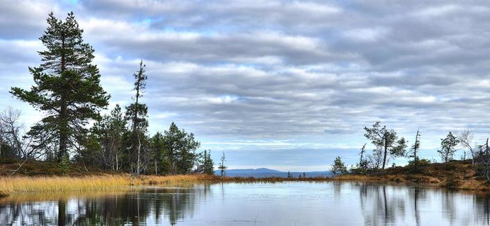 A picture of pond in autumn colours with reflecting sky and a silouette of a mountain far in the horizon.