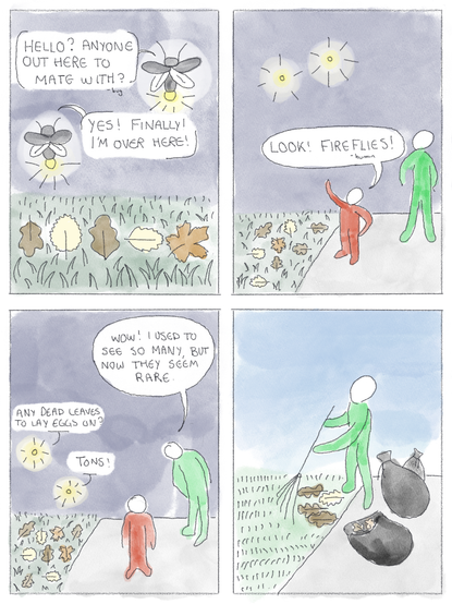 1: One firefly to another ( hovering over a grass with dead leaves on it) : Hello? Anyone out there to mate with?

2: One human to another : Look ! fireflies!

3: Firflies: Any dead leaves to lay eggs on? 
Tons! 
Humans :Wow used to see so many but now they seem rare.

4: Human: *Brooming the leaves into trash*
