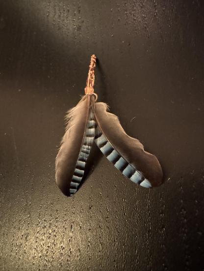 Two Eurasian Jaybird feathers combined. They're tiny feathers and each have a stripy blue side. It's on a black table.