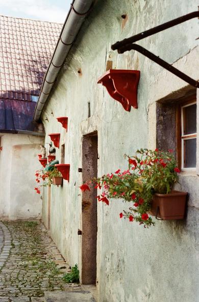 A photograph of a narrow cobblestone side street in Český Krumlov, Czech Republic. The picture shows the side of an old, pale green wall with peeling paint and a small wooden-framed window. Along the wall, several bright red wooden brackets hold up flower boxes filled with blooming red flowers, creating vivid splashes of color against the faded surface. The door in the middle of the wall looks worn and rustic, suggesting centuries of use. The street itself curves slightly out of view, its uneven cobblestones overgrown in spots with small patches of grass and weeds. Above the building, a sloping roof with weathered tiles is visible. The overall feeling is one of charm and timelessness, capturing the beauty hidden in the quieter corners of this medieval town.