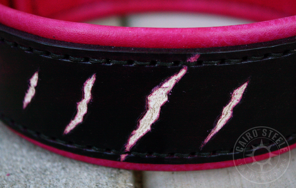 Closeup of the clawmarks