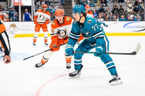 San Jose Sharks forward Michael Misa