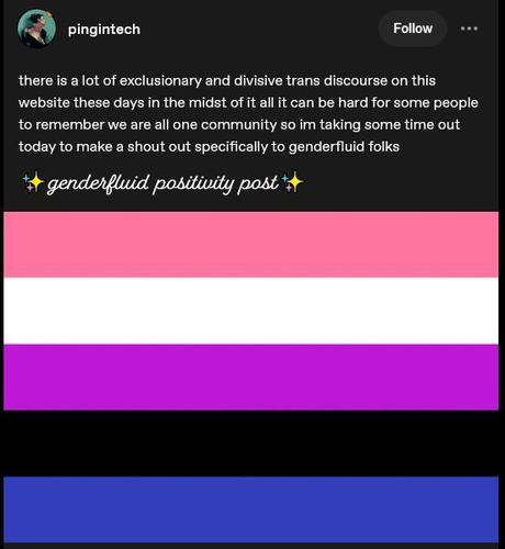 The post begins: 

"There Is a lot of exclusionary and divisive trans discourse on this website these days. In the midst of it all, it can be hard for some people to remember we are all one community. So I'm taking some time out today to make a shout out specifically to genderfluid folks. 

"Genderfluid Positivity Post." 

The text is followed by a large genderfluid flag.