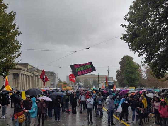 Demonstrierende auf dem Schlossplatz in Stuttgart mit Fahnen und Schildern. Der Himmel ist trüb und verregnet.