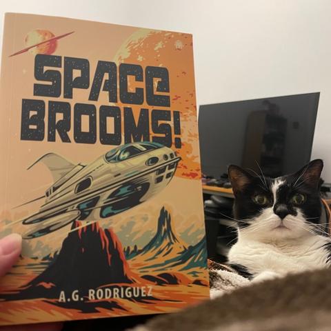 A paperback book is shown next to a cute black and white cat.