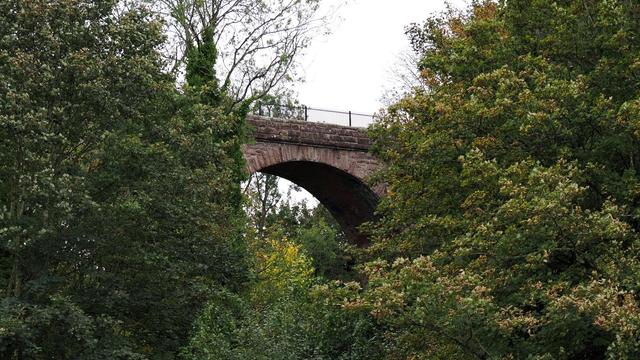 One of the arches of an old railway viaduct peeking out in the middle surrounded by green trees to the left, right and in front.