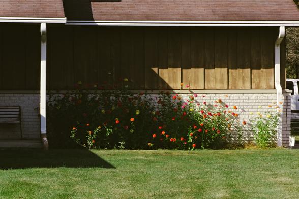 Slanting sunlight picks out some of the bright red and yellow flowers in a flowerbed, leaving the rest in shadow