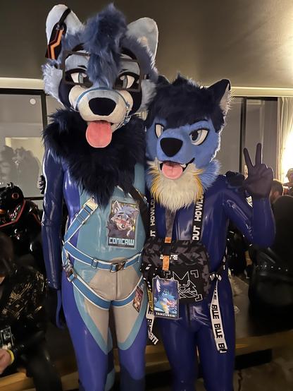 a pic of me (right) and @conicaw.bsky.social (left). Coni is wearing its fursona latex catsuit, and i'm wearing a solid blue latex catsuit. both of us are wearing our fursuit heads