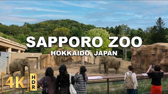 Full Walking Tour at Hokkaido's OLDEST Zoo! SAPPORO MARUYAMA ZOO | Since 1951! | Japan 2025
