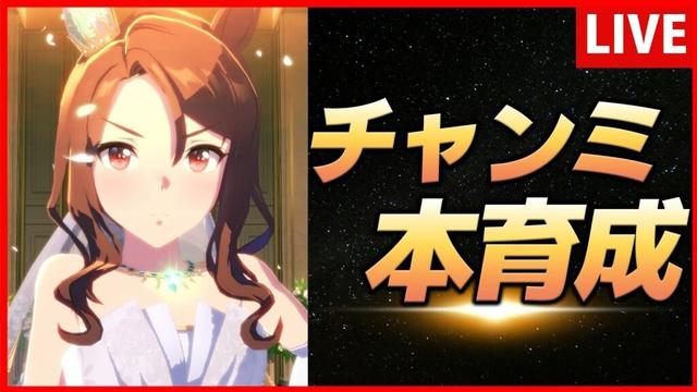 【ウマ娘】チャンミ嫁キング本育成【生放送】