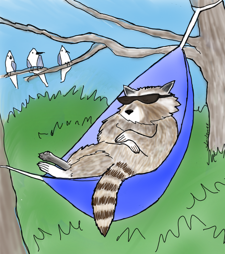 A cartoon raccoon relaxing in a hammock. He's got sunglasses on and three birds in a nearby tree are all looking at him for some reason...
