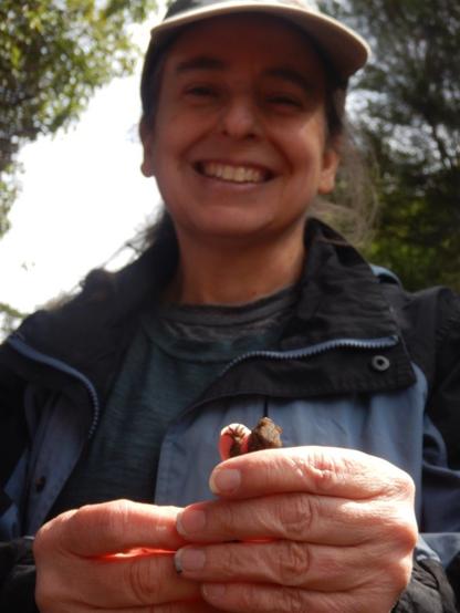 A photo of Jennifer Gillette, Lincoln University's lizard expert. She's smiling and in her hands she's (carefully) holding a brown gecko that she found.