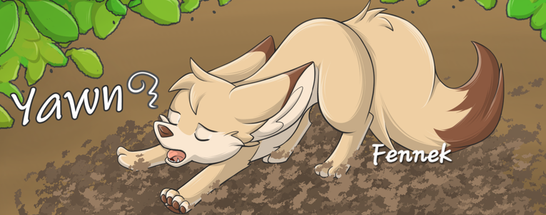 Tired Fennec Fox is stretching in the Morning and yawn