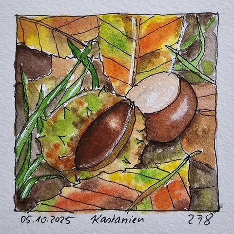Aquarell: zwei Kastanien liegen glänzend zwischen Gras und Blättern. Eine ist fast noch ein Igel in ihrer stachrligen Hülle